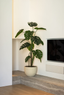 Bohemian kunstplanten - Labohemian