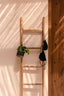 The Tulum Ladder - Natural - 165 - Labohemian