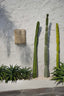 The SiriKit Wall Applique - Natural - Labohemian