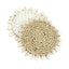 The Seagrass Shell Coaster - White - Labohemian