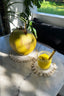 The Seagrass Shell Coaster - White - Labohemian