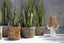 The Banana Zigzag Basket - M - Labohemian