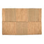 The Paddle Field Carpet - Natural - 280x175_40