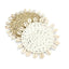 The Seagrass Shell Coaster - Natural - Labohemian