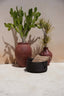 Les Quatre Mains Baskets - Black - L - Labohemian