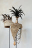 The Shell Hat on Stand - Natural Black - Labohemian