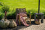 The Oh My Gee Cushion Cover - Salmon Pink - 30x50_40 - Labohemian