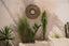 The Mengdong Wall Deco - Natural Black - Labohemian
