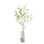 Enkianthus tak 150cm - Labohemian