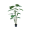 Monstera boom 150cm - Labohemian