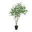 Sandalwood boom 240cm